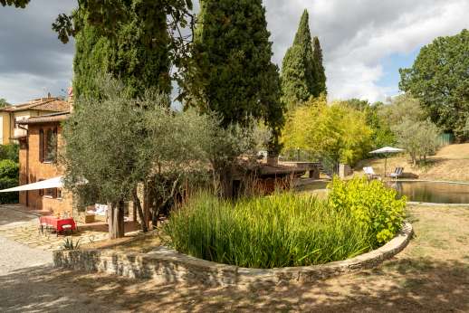 Delpietre - Natural filtration area with constructed wetlands