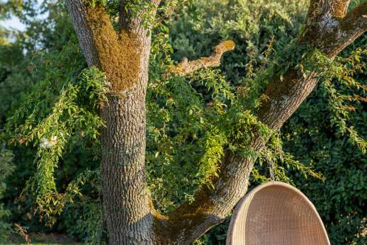 La Badiole - Beautiful views off vineyards surround the villa
