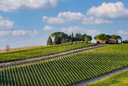 La Badiole - Enjoying wonderful views of the Tuscan countryside dotted with hilltop towns and villages