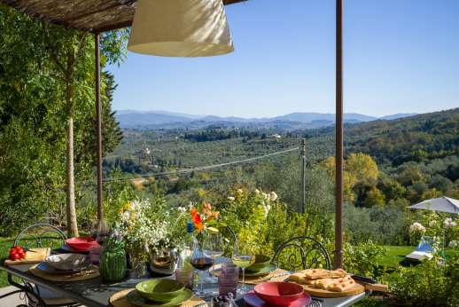 Fontegaia - Views of olive groves and rolling hills
