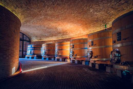 Montalcino Wine Tasting Tour & Lunch