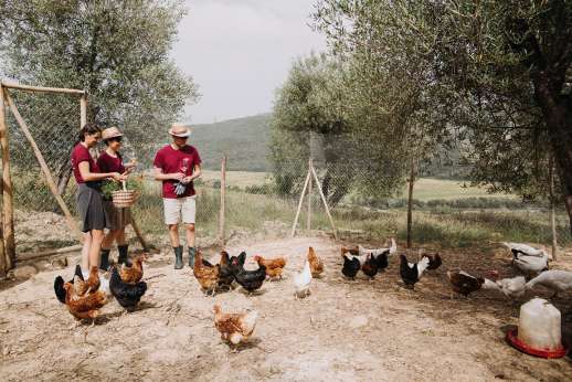 Tuscan Garden Experience with Lunch & Wine Tasting