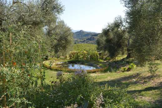 Tuscan Garden Experience with Lunch & Wine Tasting