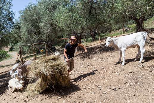 Tuscan Garden Experience with Lunch & Wine Tasting