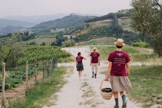 Tuscan Garden Experience with Lunch & Wine Tasting