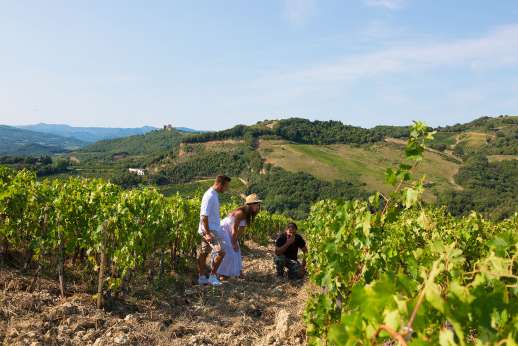 Tuscan Garden Experience with Lunch & Wine Tasting