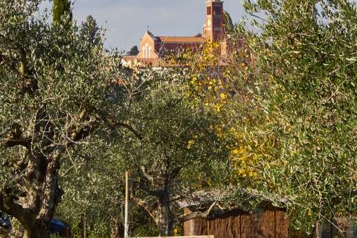 La Casa del Chiu'