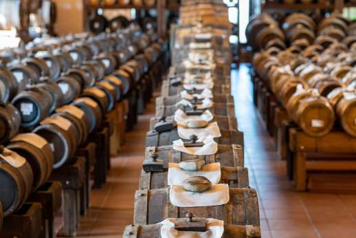 Sereni a Tavola-Classic Balsamic Tour, Tasting & Lunch