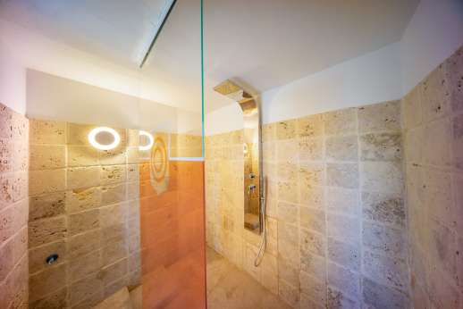 Villa Albizi - The pool house sauna and shower