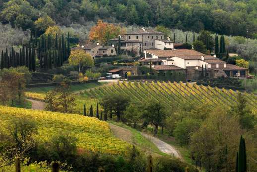 Colle Bereto Chianti Wine Tour & Tasting