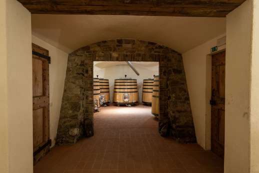 Colle Bereto Chianti Wine Tour & Tasting