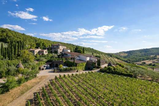 Colle Bereto Chianti Wine Tour, Tasting, Cooking Class & Lunch