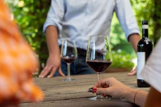 Colle Bereto Chianti Wine Tour, Tasting, Cooking Class & Lunch