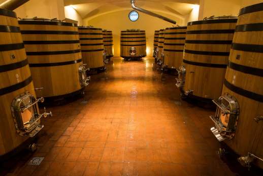 Colle Bereto Chianti Wine Tour, Tasting, Cooking Class & Lunch