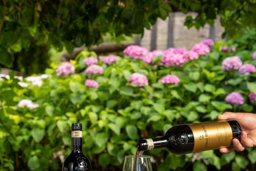 Colle Bereto Chianti Wine Tour, Tasting, Cooking Class & Lunch