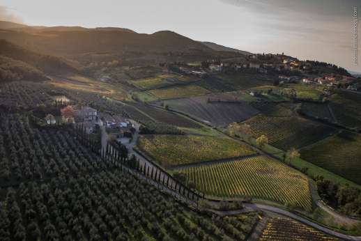 Colle Bereto Chianti Wine Tour, Tasting & Bistecca Lunch