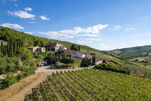 Colle Bereto Chianti Wine Tour, Tasting & Bistecca Lunch