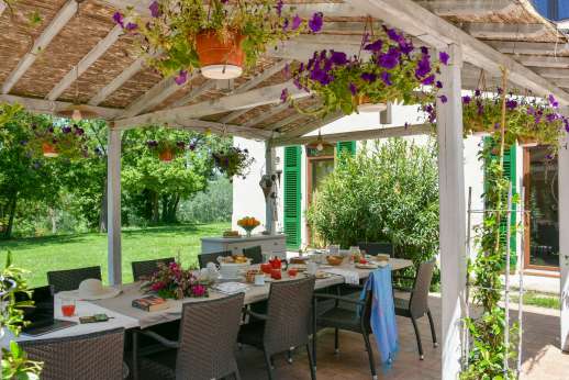 Villa D'Elsa (x 14 people) with Staff & Cook