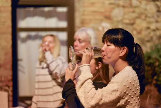 Fattoria di Lamole In-Villa Wine Tasting