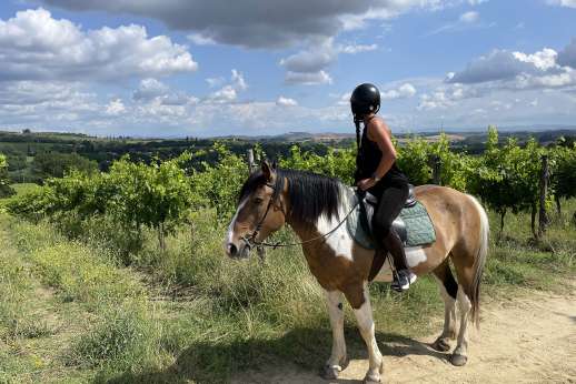 Vineyard Horseback Riding Tour in Tuscany