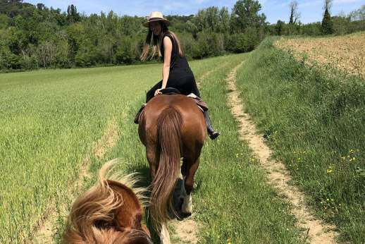 Vineyard Horseback Riding Tour in Tuscany