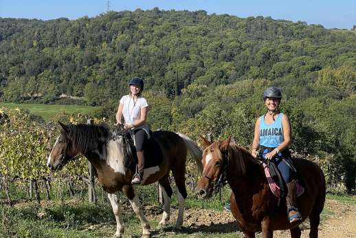 Vineyard Horseback Riding Tour & Wine Tasting in Tuscany