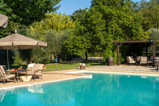 Cipresso Dorato - The swimming pool located approximately 50 mt from the house measures 15 x 7 mt with stone steps for entry/exit