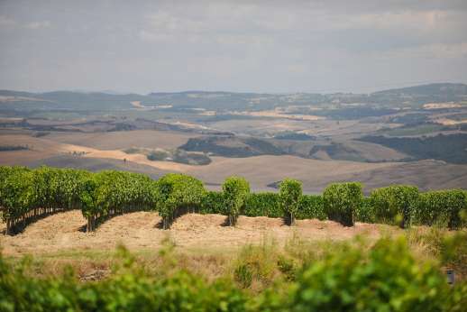 Val d’Orcia landscape