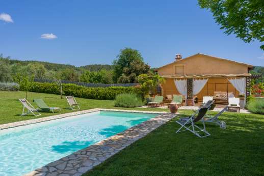 Loliondo - The pool is surrounded by a lawn with a very spacious paved terrace nearby that is shaded and furnished