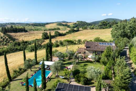 Colli Fiorentini - Views of rolling landscape olive groves and vineyards.