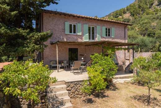 L'Agrumeto dell'Isola - Peaceful garden with lemon trees