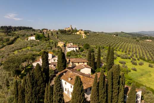 Villa San Martin - Olive groves surround the villa