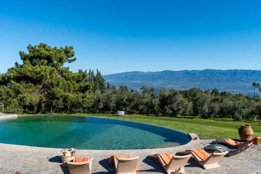 Il Cortile Pratolino (x 15 people) with Staff and Cook - The oval swimming pool, 7.5 x 12.5m/24 x 41 feet, has an infinity edge