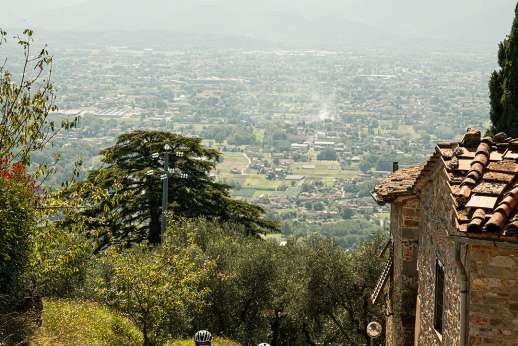 Two cyclists riding uphill on a quiet Tuscan country road, surrounded by olive trees, stone houses and panoramic views of the Tuscan valley.