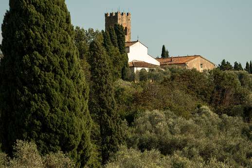Cyclists riding through the Lucca countryside on a peaceful road surrounded by vineyards and olive groves in Tuscany.