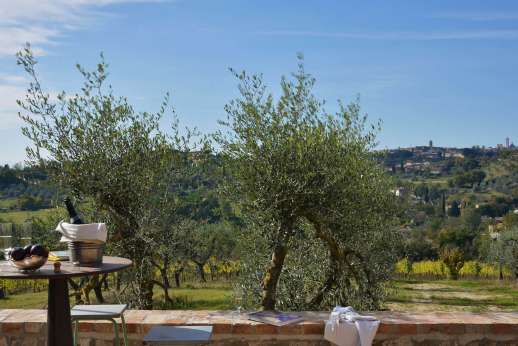 Terrace view over olive groves and vineyards near Siena at Villa Santa Dieci during an organic wine tasting experience in Tuscany