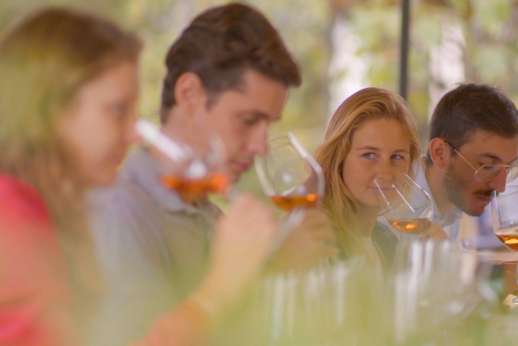 Private In-Villa Wine Experience Tuscany