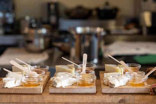 Cheese and Honey Tasting on Chianti Farm