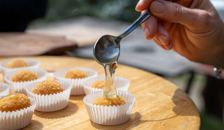 Cheese and Honey Tasting on Chianti Farm