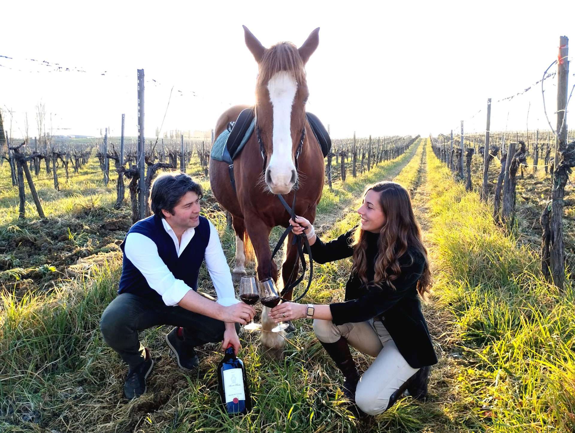 Vineyard Horseback Riding Tour & Wine Tasting in Tuscany