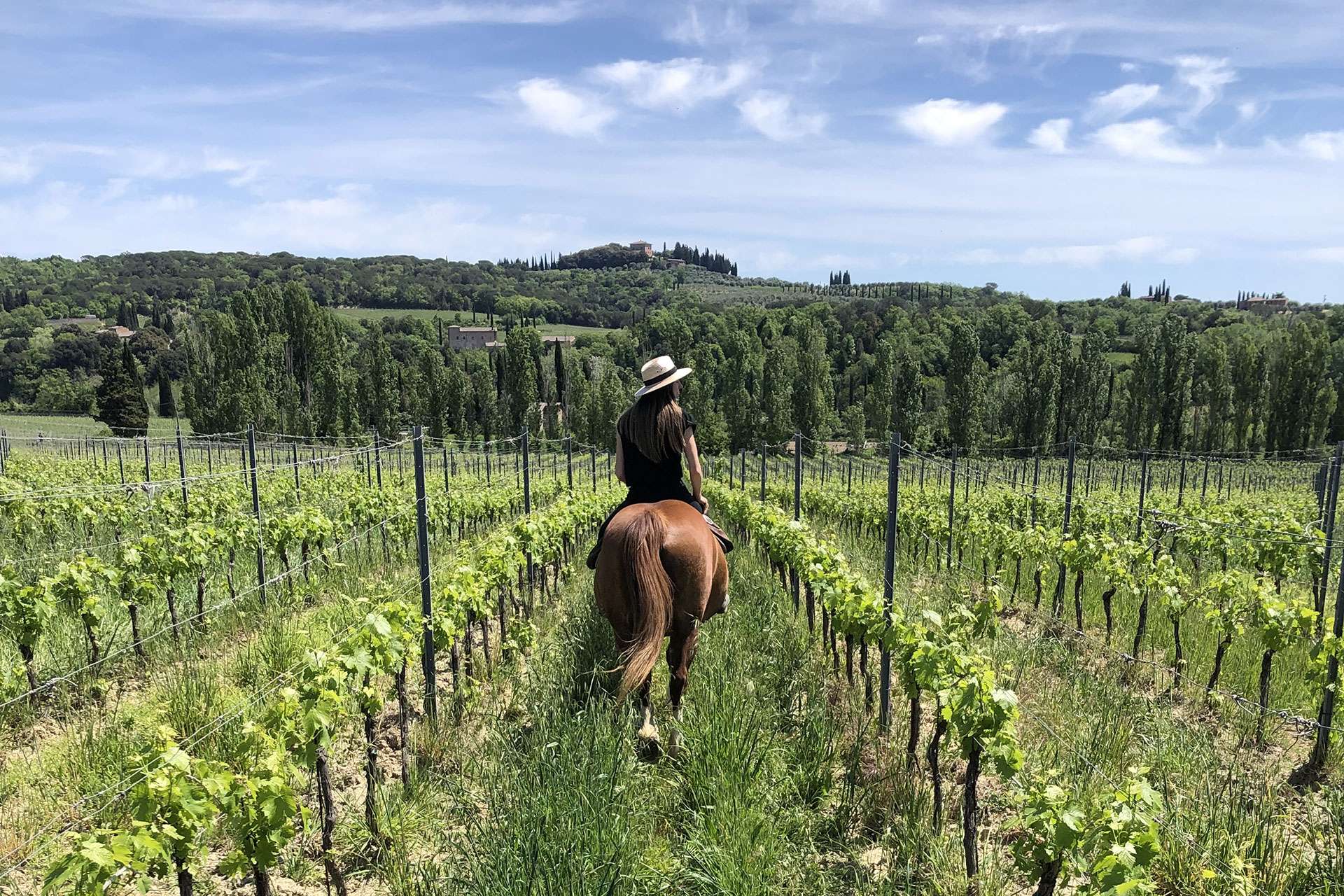 Tuscan Vineyard Horseback Riding Tour & 3-Course Meal