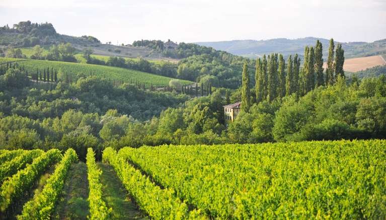 An Introduction to Chianti & Advice | Tuscany Now & More